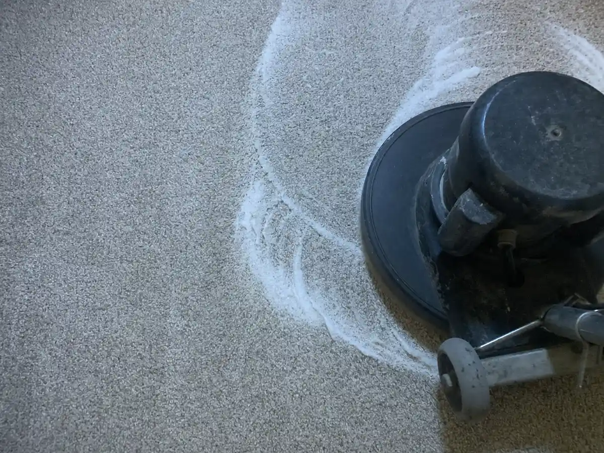 Dry Carpet Cleaning in Tarzana, CA